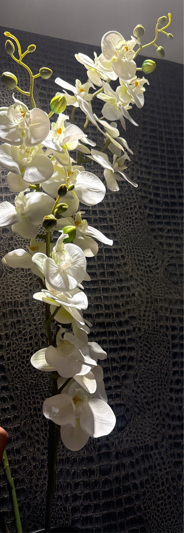 VARA ORQUIDEA