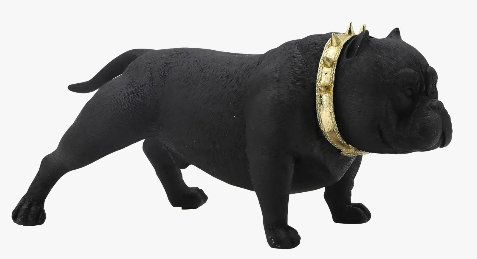 PERRO TINO