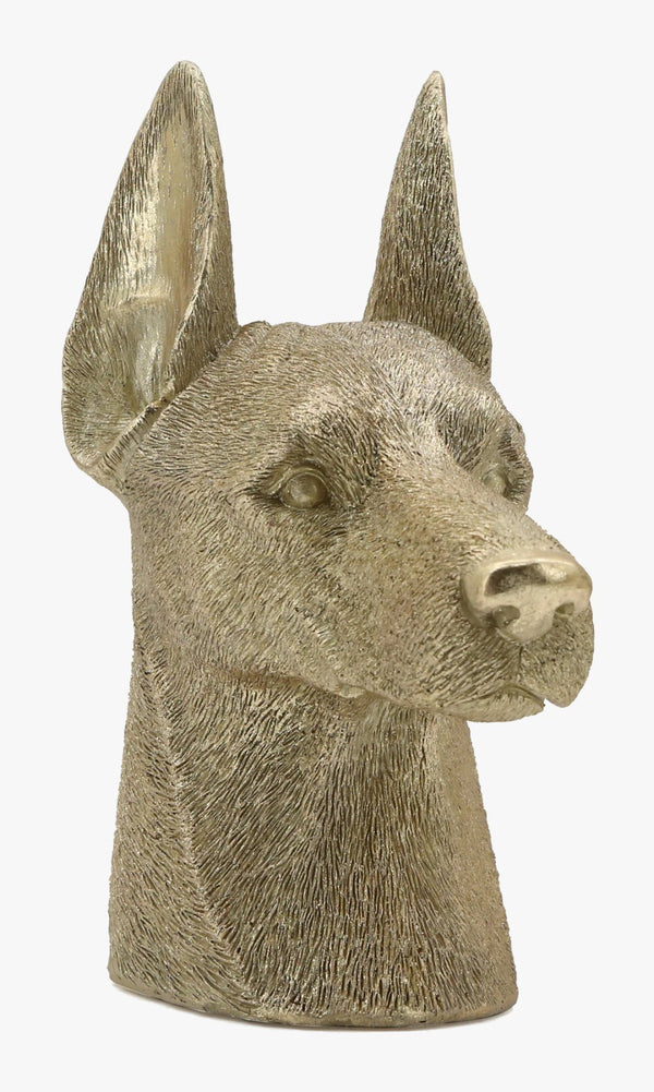 FIGURA VIONA