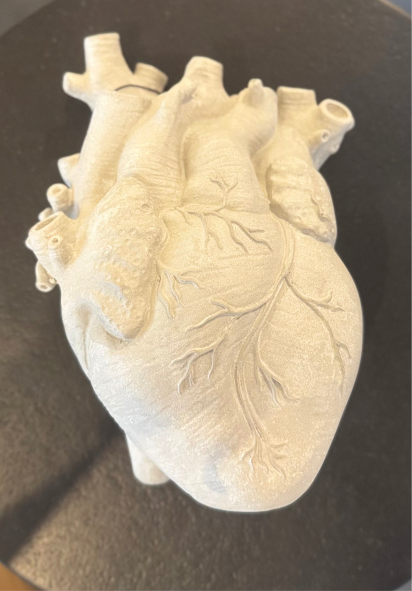 CORAZON CEMENTO