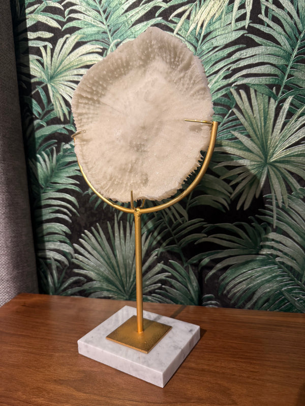 ESCULTURA CORAL PALNO GDE