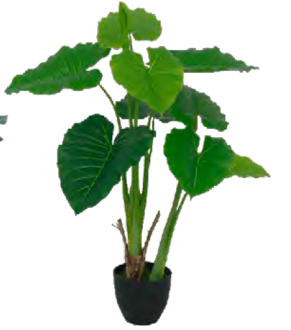 PLANTA DECORATIVA PHILO